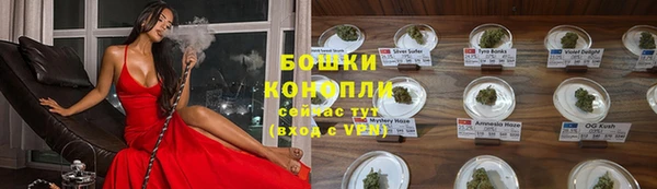 крисы Майский
