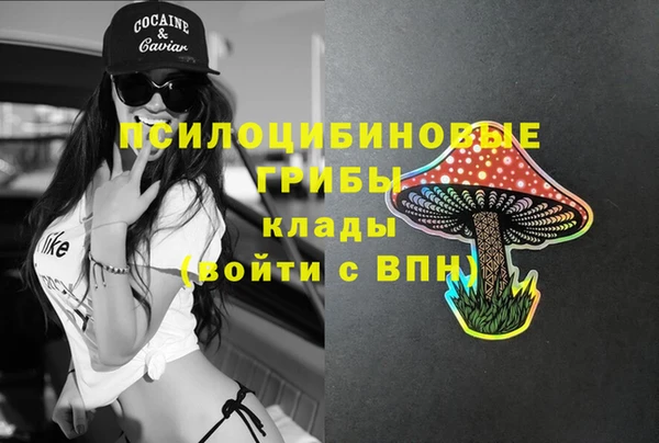 spice Медвежьегорск