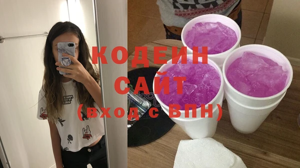 СК Пересвет