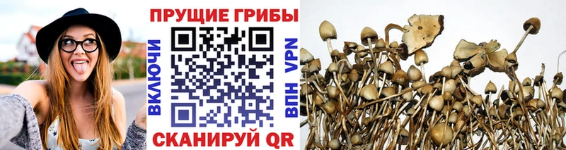 наркошоп  Знаменск  Галлюциногенные грибы мицелий 